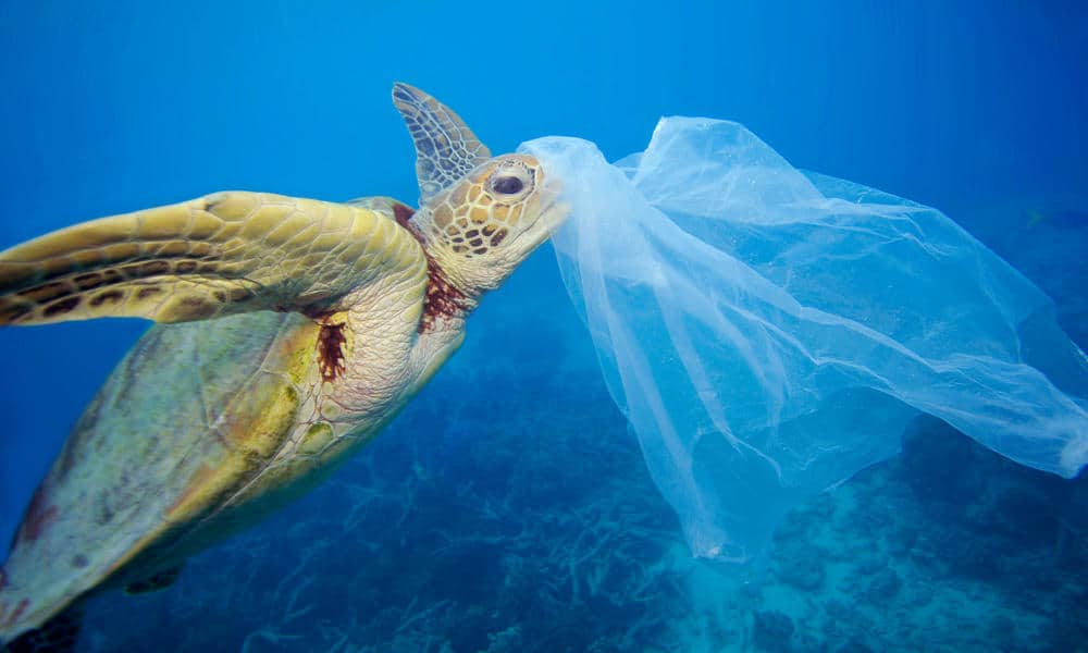 plastik problemi