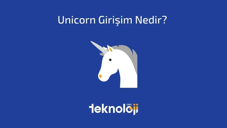 Unicorn Girişim